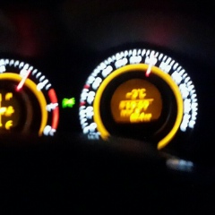 Musa Guluev, 28.01.1998