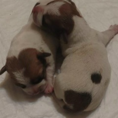 Ксюша Питер, 27.01, Санкт-Петербург