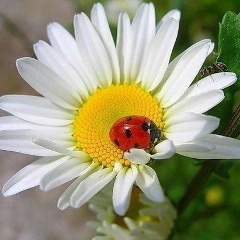 Натик Константиновская, 21.09, Киев