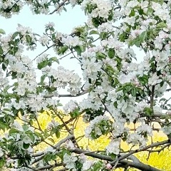 Жылдыз Рыспаева, 06.02, Красноярск