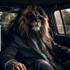 Али Гусейнов, 01.08.1991, Шамкир