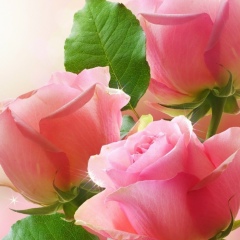 Капишева Назым, 11.09, Талдыкорган