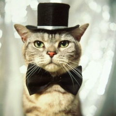 Николай Бельский, 03.07.1983, Москва