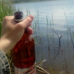 Коля Пасічник, Александровка