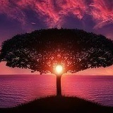 Медина Нашхоевская, Грозный