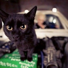 Михаил Селиванов, 15.03