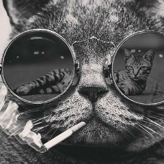 Жандос Оразгалиев, 16.02