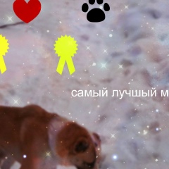 Tamara Mamulova, 18.12