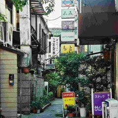 Никита Новак, 29.03