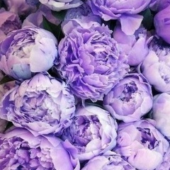 Raya Khokonova, 23.03