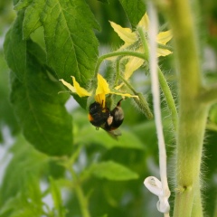 Кайрат Жусипов, 31.05.1974, Сарыагаш