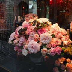 Сымбат Альмаганбетова, 06.08