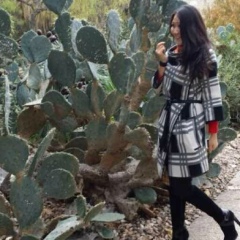 Ерке Beetle-Babe, 05.12, Москва