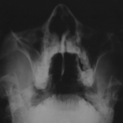 Александр Романов, 15.02.1981, Ухта