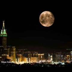 Mamed Arsamakov, 26.12, Москва