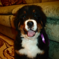 Иван Ананенко, 11.09, Новокузнецк