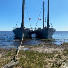 Александр Лоцанс, Санкт-Петербург