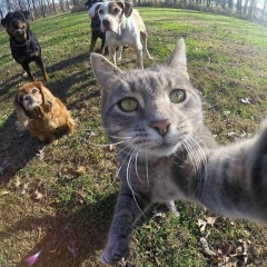 Темирхан Сагандыков, 14.01, Аксу