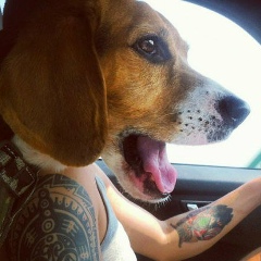 Роман Спасский, 24.02.1980, Sydney