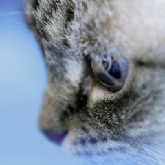 Елена Иванова, Минск