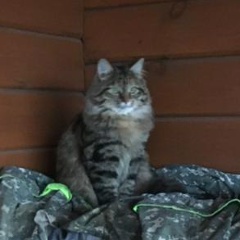 Татьяна Кравченко, 28.03