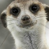 Василий Иванов, 07.01.1980, Великий Новгород