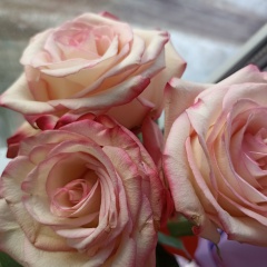 Оксана Пажус, 05.06, Дорогобуж