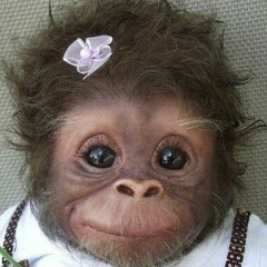 Юлия Ракина, 01.03.1985, Москва