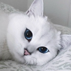 Настя Сенченко, 11.05.1994