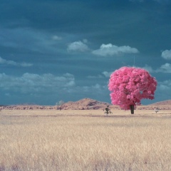 Станислав Плешаков, 29.12, Одесса
