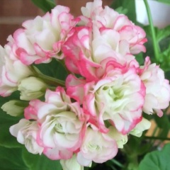 Инна Морозова, 28.06.1982