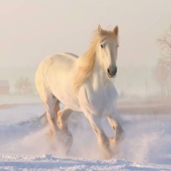 Юлька Колесова, 07.06.1986, Москва