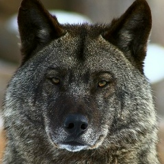 Юра Барашкин, 06.02, Зеленоград