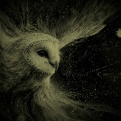 Tatia Noctua, 03.05, Когалым
