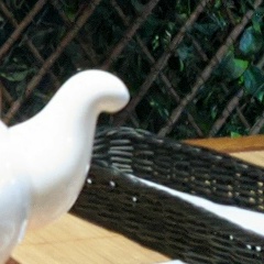 Магомед Рашидов, 25.02.1993, Мурманск