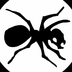 Владислав Пителин, 19.12.1985, Архангельск