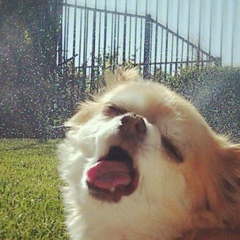 Vip Teo, 27.04.1993, Москва