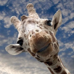 Евгения Евгеньева, 13.03, Уфа