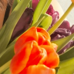 Людмила Марчева, 06.06, Димитровград