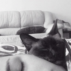 Полина Волосецкая, 23.11, Москва