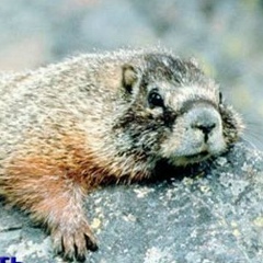 Галина Чистяк, 02.10.1971, Ярославль