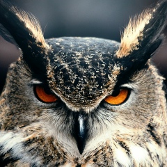 Alexey Prikhodko, 19.04.1975, Мариуполь