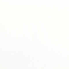 Андрій Ражик