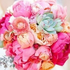 Наталья Тополь, Москва