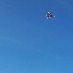 Игорь Устименко, Калининград