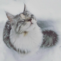 Nastya Ben, 11.05.1996, Москва