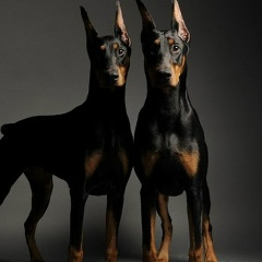 Jibek Abdrakhmanova, Астана