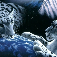 Алёна Бакова, 09.02, Нальчик