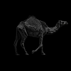 Хизир Аргунский, 20.11.1995, Санкт-Петербург