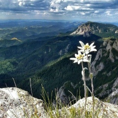 Юлия Карний, 02.01, Киев